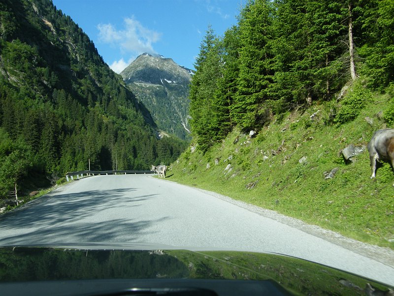 Alpy12-14.06.09 017.jpg